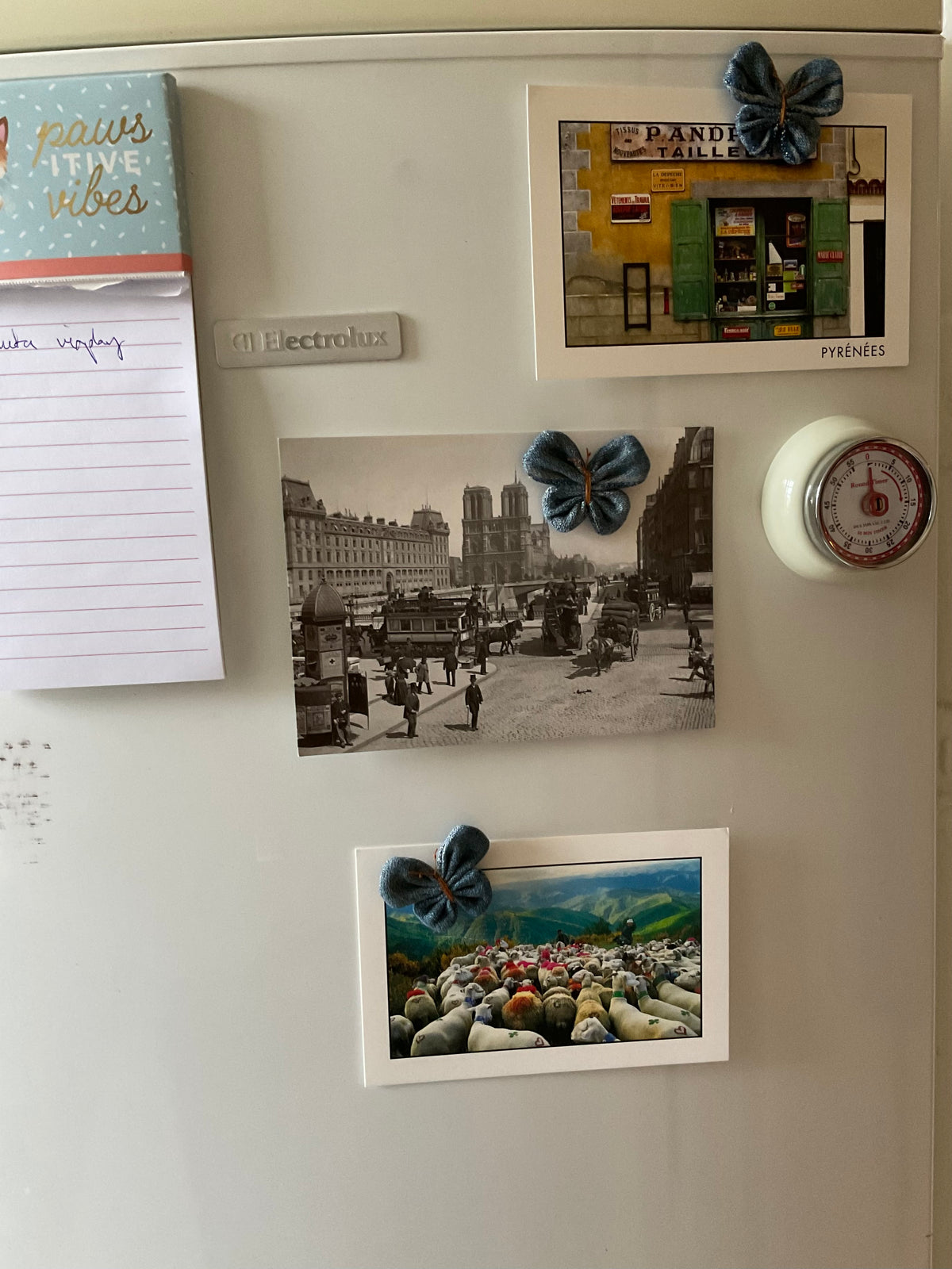 Magnet Denim Butterfly